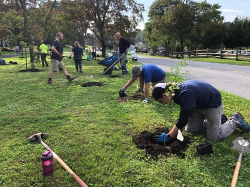 CRC tree planting-1