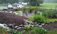 rain garden-1